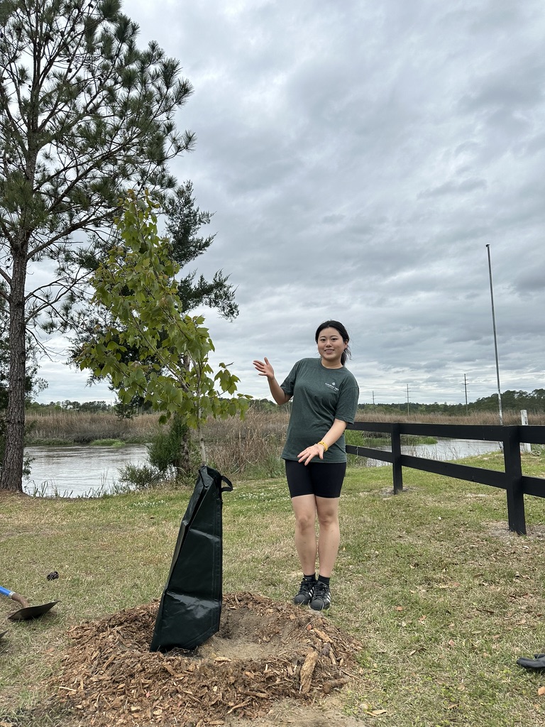 Volunteering to plant trees