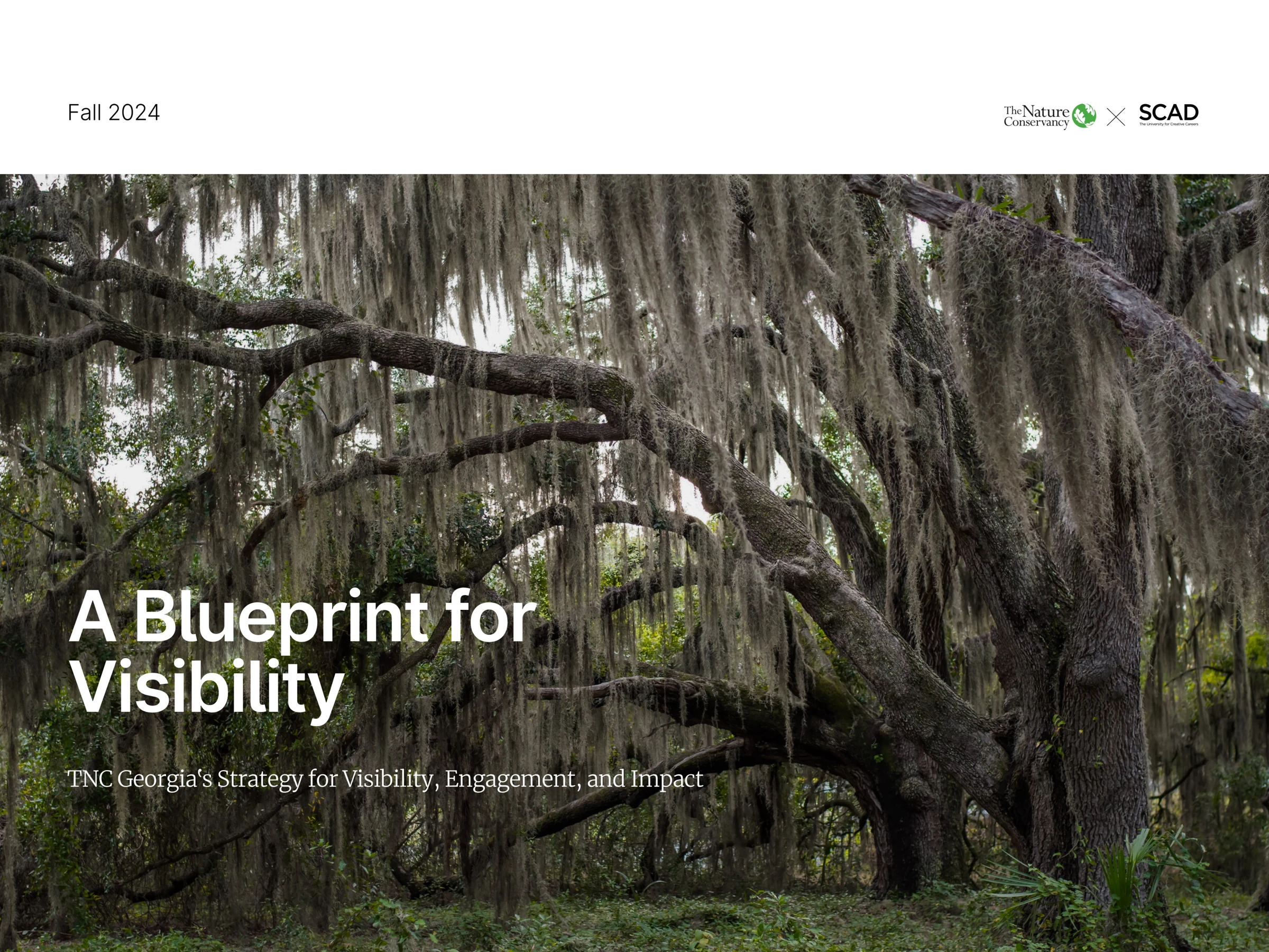 A Blueprint for Visibility — original TNC Georgia report cover