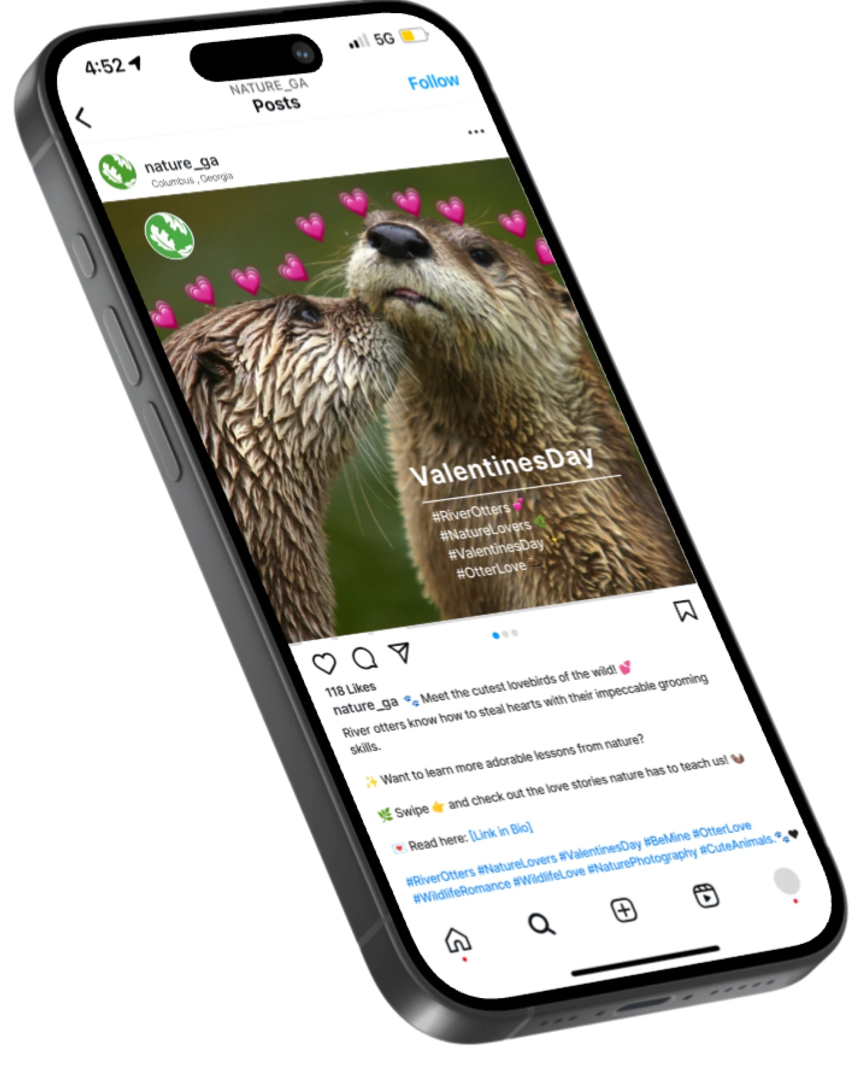 ValentinesDay nature_ga *« Meet the cutest lovebirds of the wild f River otters know how to steal hearts with their impeccable grooming * Want to leam more adorable lessons from nature? yE Swiper and check out the love stories nature has to