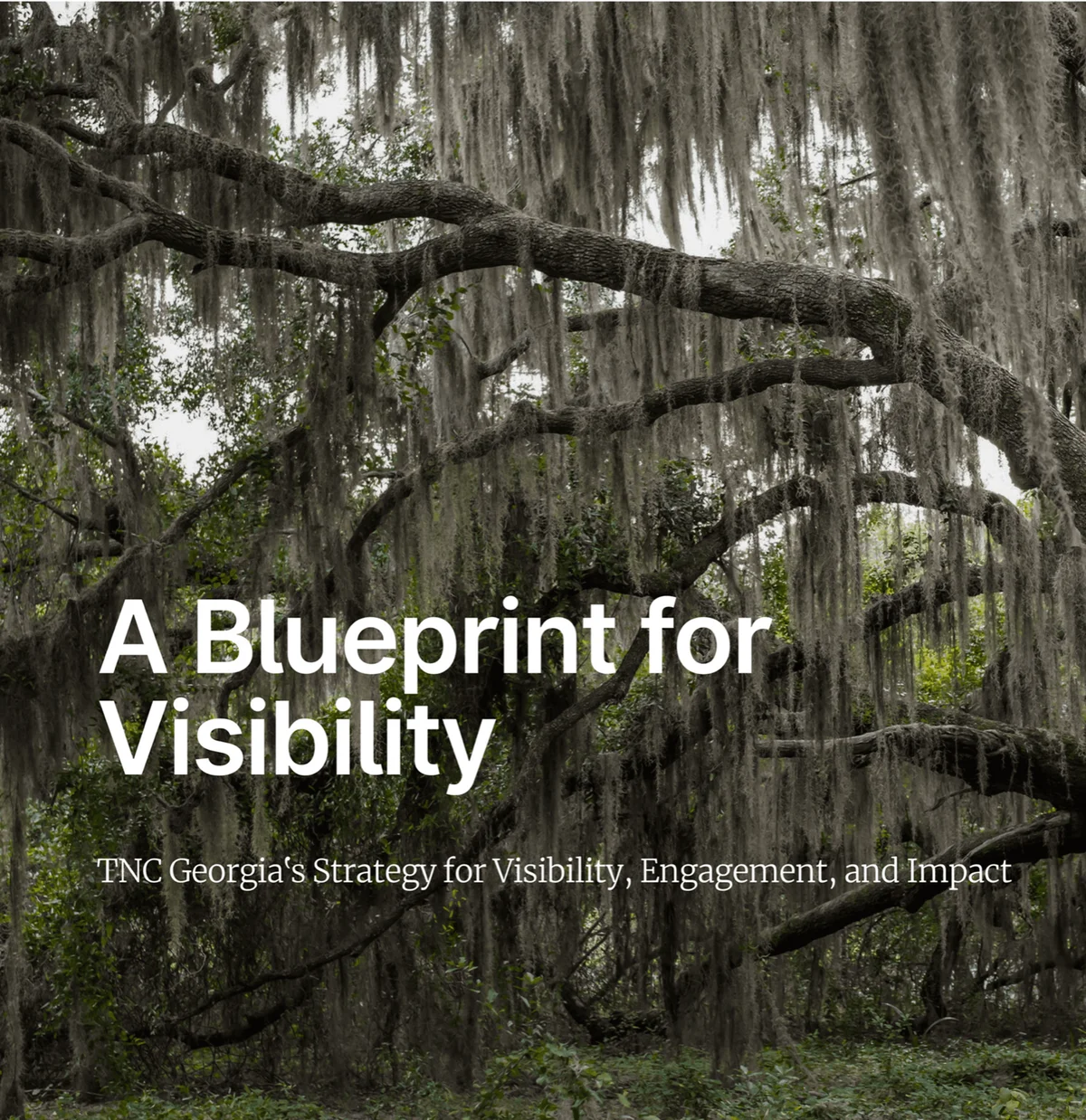 TNC — A Blueprint for Visibility
